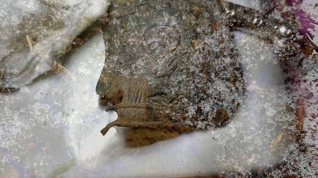 Никола Чудотворец, нак, ключик и другие приключения