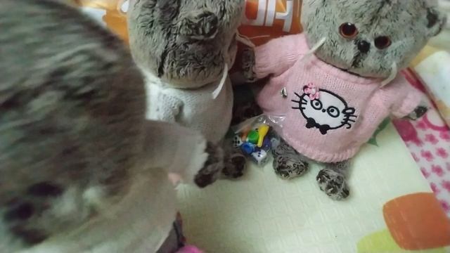 басикен обычный вечер🌜🐱🧡