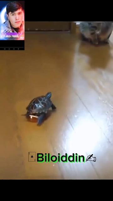 D3a5075511982726110ccfd2fd23bbaa