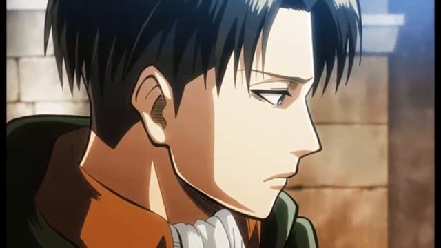 D331888094f7300229c566e7be62beeb