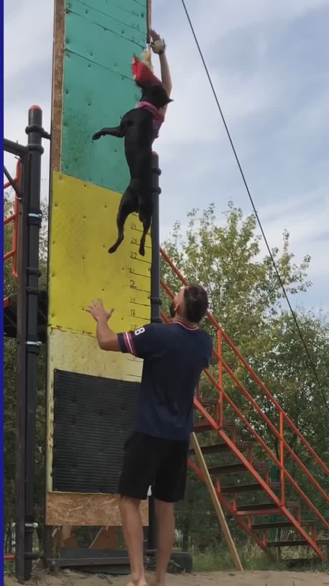 Cамые смешные видео с собаками и кошками.
Новый выпуск "Веселй КотоПес"  3