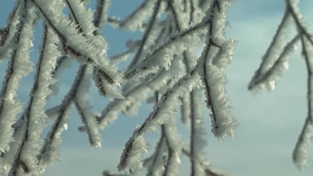 F8ce4a2921dc58a640506400e6b10a29