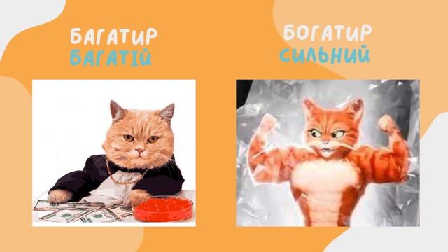 Уроки кота Гарварда. Лексикологія. Пароніми.