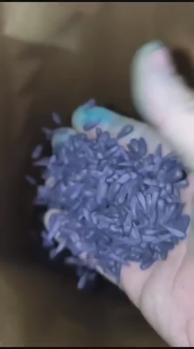 АГРОСИЛА-ЦЕНТР