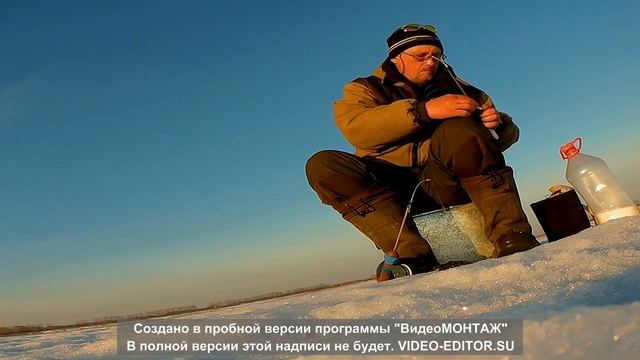 весенний рейд пингвинов  последний лёд 2017