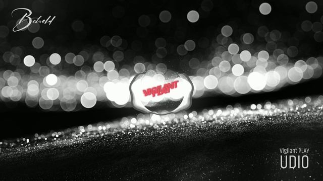 Vigilant PLAY - Behold