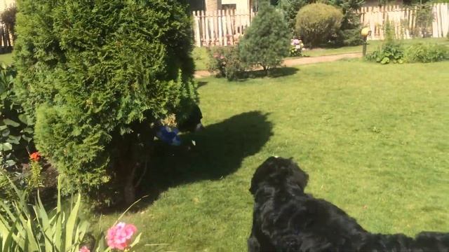 Жорочка, с легким паром!