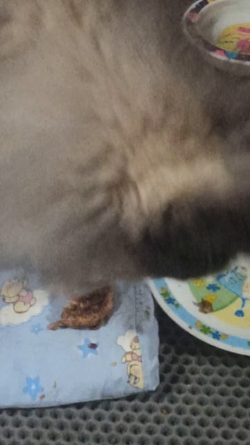 D978aee02f6cdf77db137c617ddf9f4c