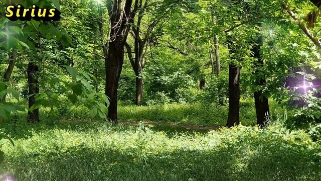 Какие знаки зодиака будут самоуверенными в первой половине марта 2023 года