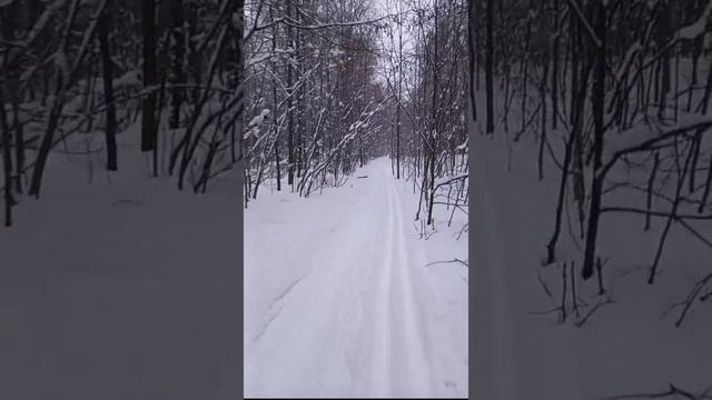 Субботея, +лесок✌️😃👍(15.02.25).