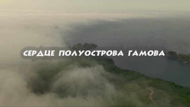 4d51deaf099ef98b22470de3ebbead7d