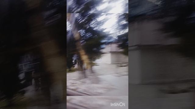 Абхазия осень.mp4