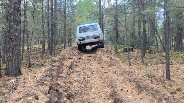 нива сток.mov