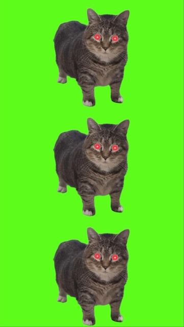 C43c102b1f892306516a0cfdcdb771c8