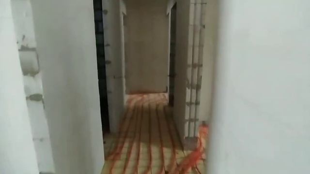 VID_20250214_151315_600