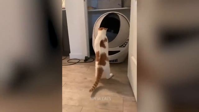 Ржал до утра 😁🤣