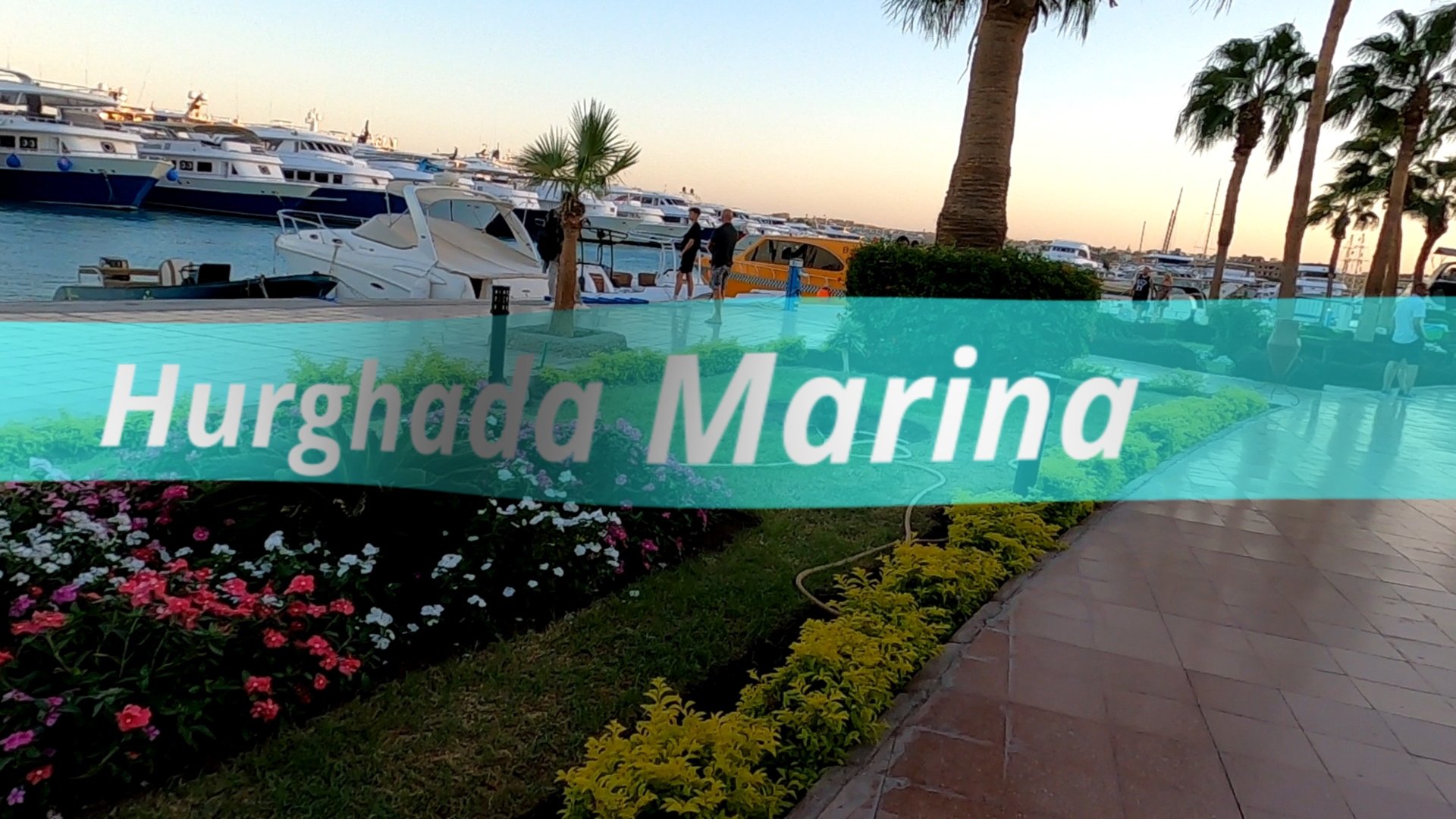 628feb61dea0586aec5d754644364dd2