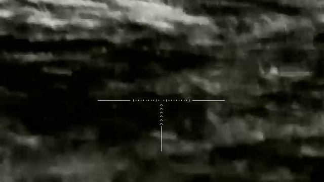 Infiray Saim Scl35w. Корсак и корова 300 метров.