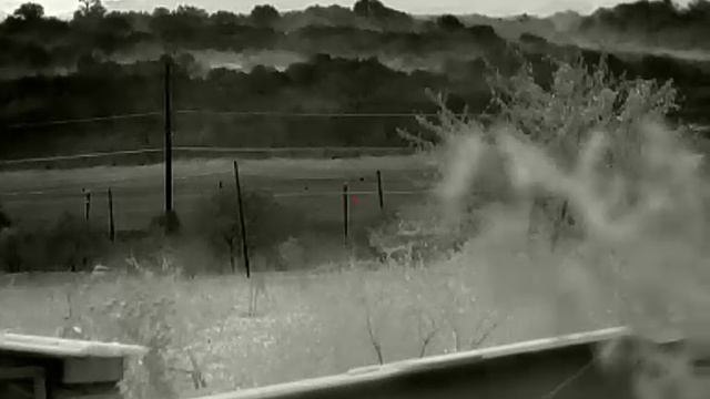 Тепловизор InfiRay Saim Scl35w. 750 метров , заяц и лиса.