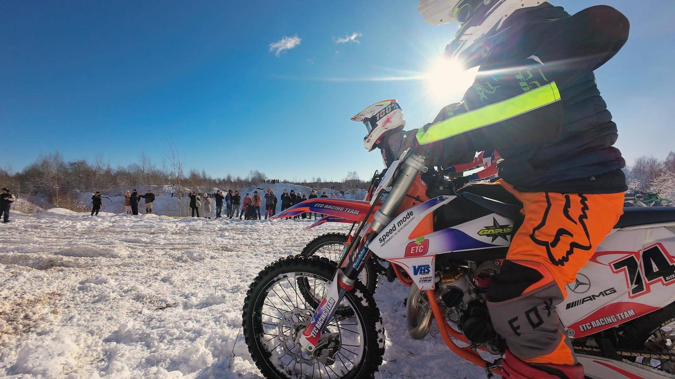 День Пингвина