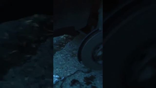 Растения и их прекрасное существование