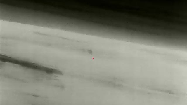 Шакал гуляет около фермы.