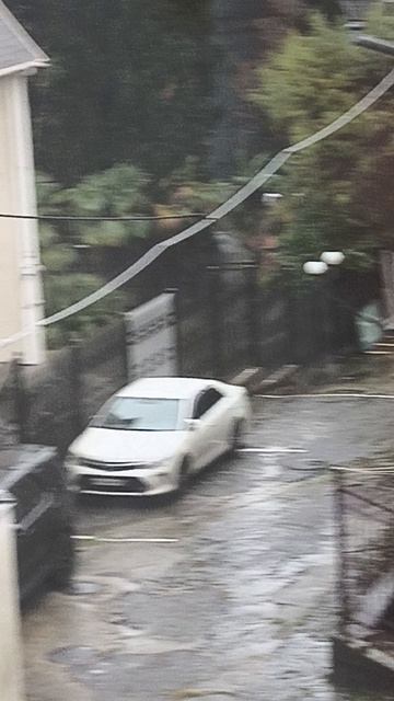 пальмы красота!