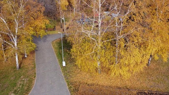 парк ПОБЕДЫ