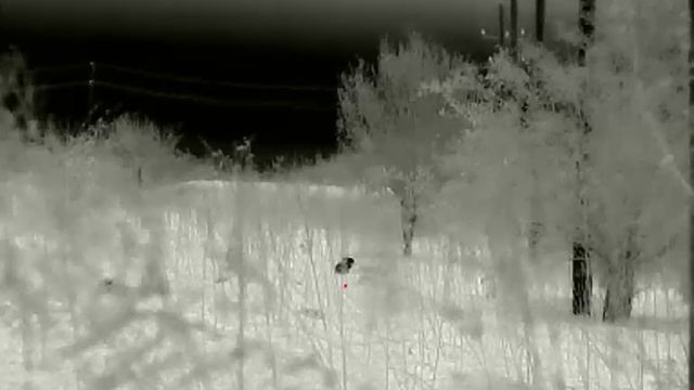 Тепловизор InfiRay Saim Scl35w. Косой 70 метров.