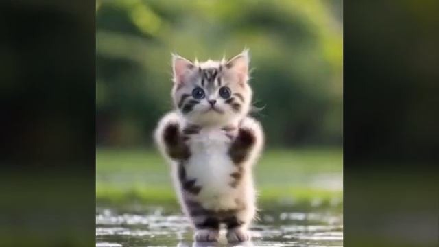 SaShA Meln1kow 💖 А+