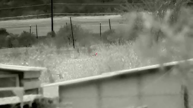 Тепловизор InfiRay Saim Scl35w. Лиса 200 метров