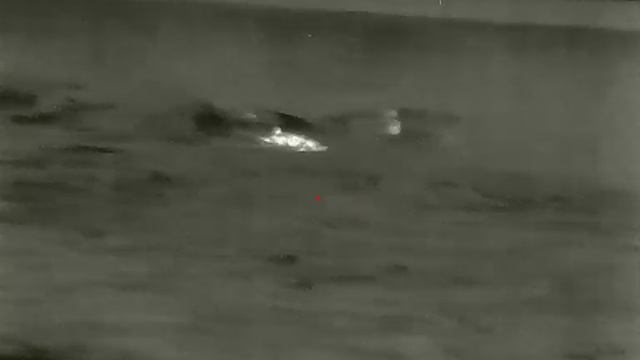 Infiray Saim Scl35w. Выстрел по лисе , 60 метров.