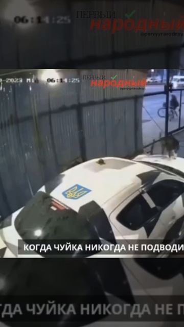 255d2d307256d0c9c76f265a7aadc7cc