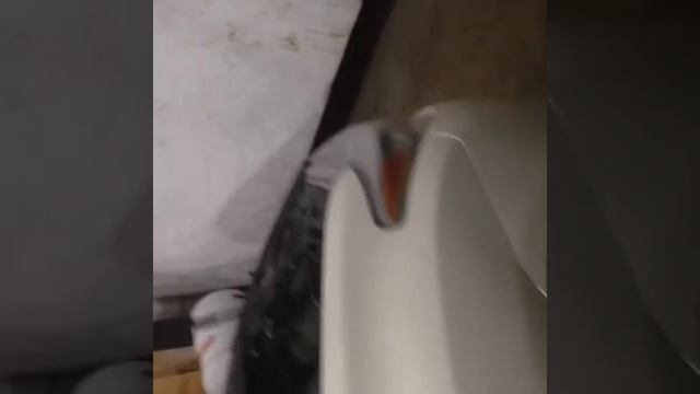 Прокачка стоек ТОЙОТА