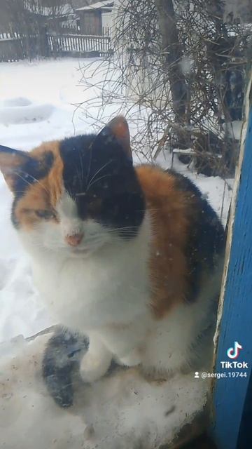 1851af675fba85bf2d6936fdc96afb89