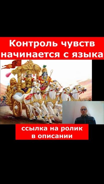 F3d287ba728c1a75e4c387ae6362f95f