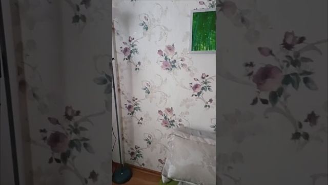 ул. Александра Невского 121а