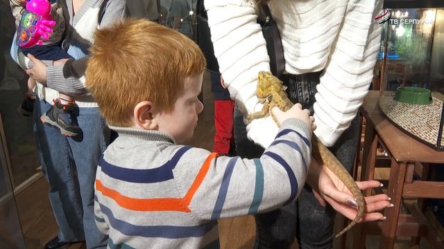 Выставка живых бабочек и рептилий открылась в Серпухове