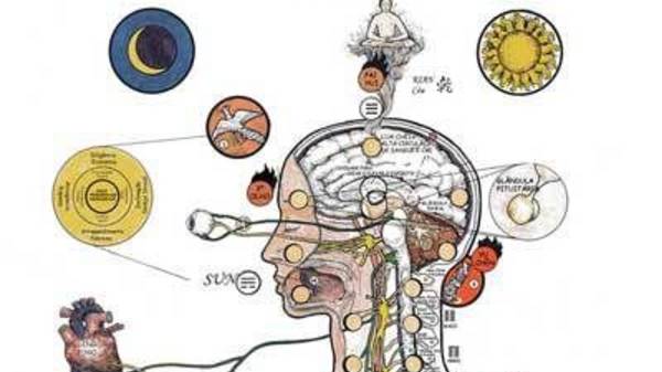 ЖКТ 1 / ПСИХОСОМАТИКА. РЕАБИЛИТАЦИЯ. МУСТАФИН ЧИНГИС -7 985 9 245245