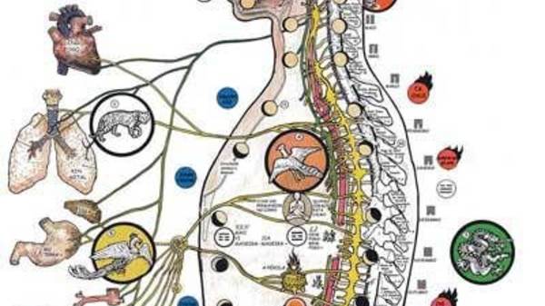 ЖКТ 2  БИОРИТМОЛОГИЯ ПИЩЕВАРЕНИЕ. ПСИХОСОМАТИКА  ВЕРХНИХ ОТДЕЛОВ. 
+7 985  9 245245