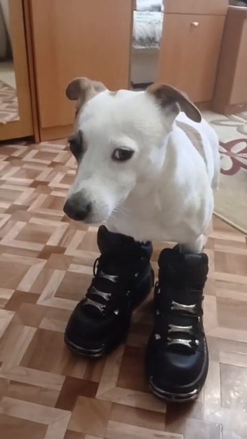 3efd57b6b64d4969bfa99f85a96c731d