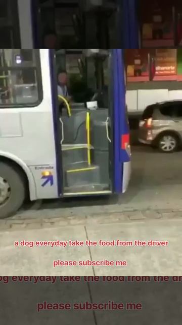 #A Dog Everyday Take The Food From Bus Driver