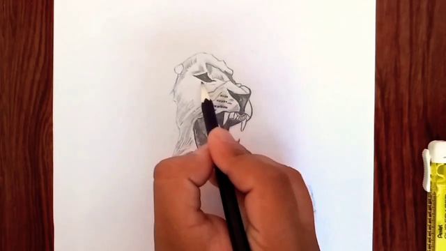 How To Draw A Lion /Easy Way/ For Beginners.