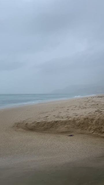 Ab2904d4e8f8b0edf311d799a9445550