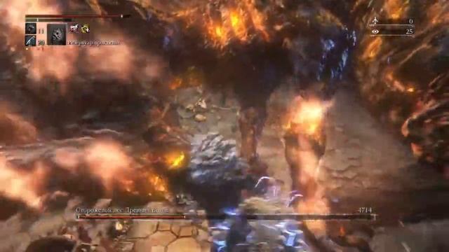 Bloodborne А это у вас пёс, да? Это у нас пёс, да.