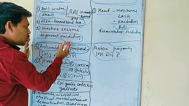 Difference Between Green Tea And Normal Tea.