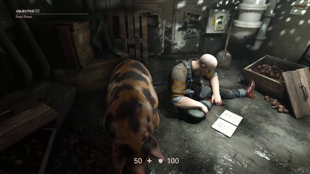 Wolfenstein 2 Feed Rosa Side Mission Walkthrough
