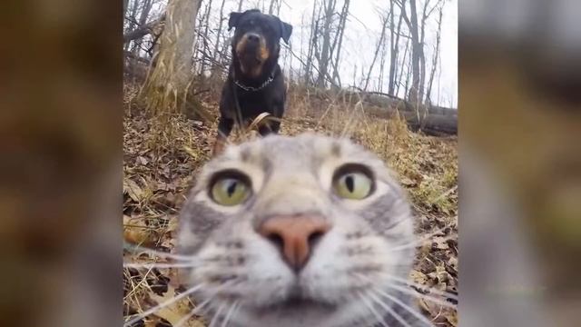 20 безумных селфи