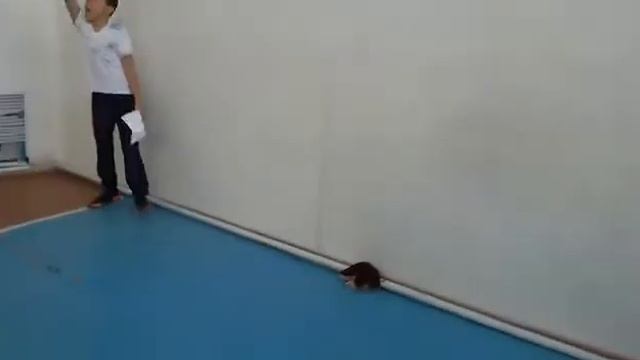 Ұлттық ойындар  сайысы.