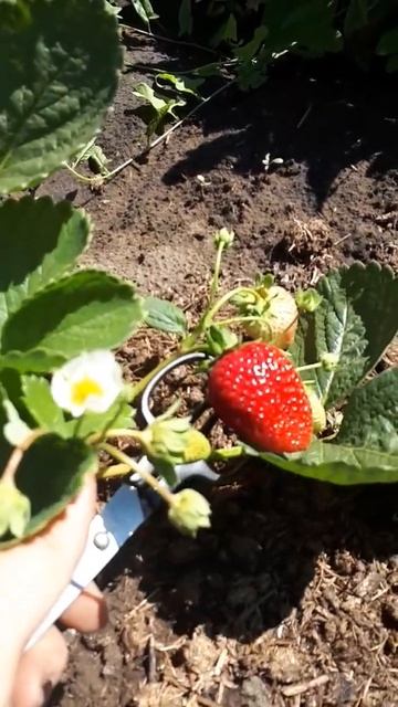 081829e8acd896901267ddcebbfaa39a